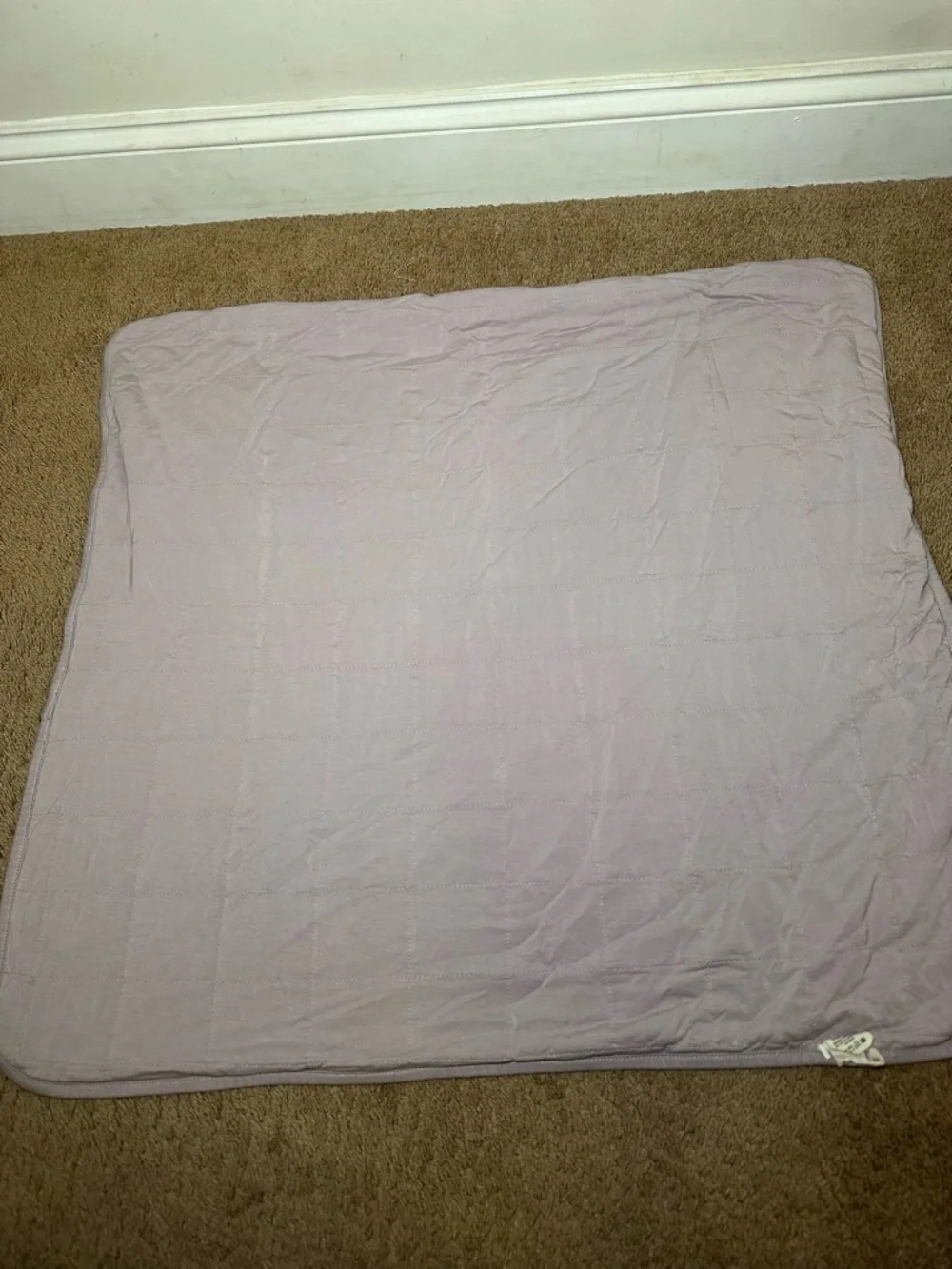 Kyte Baby 1.0 Tog Baby Blanket Elephants Purple